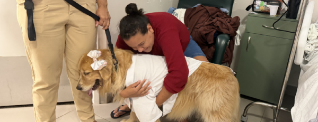 Visita de cães ‘terapeutas’ promove bem-estar entre pacientes da quimioterapia no HUC