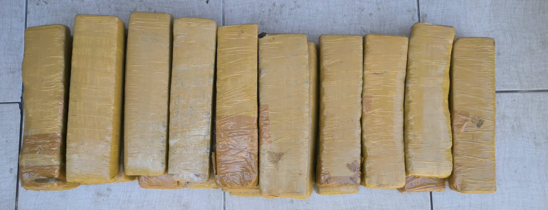 Durante ação conjunta em Fortaleza, PCCE e Receita Federal apreendem mais de 24 kg de maconha