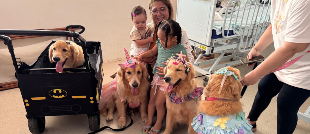 Pet terapia leva alegria a crianças internadas no HGWA