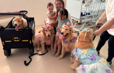 Pet terapia leva alegria a crianças internadas no HGWA